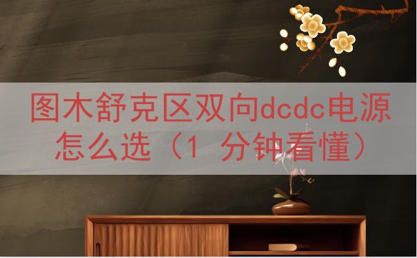 图木舒克区双向dcdc电源怎么选（1 分钟看懂）